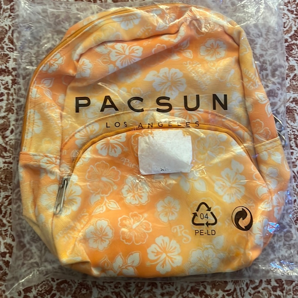 Mini Pacsun Backpack